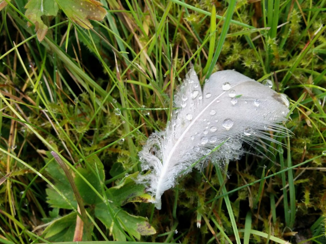 Reykjavik, Iceland, 2014