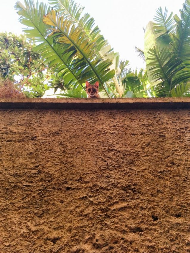 Sorrento, Italy, 2014