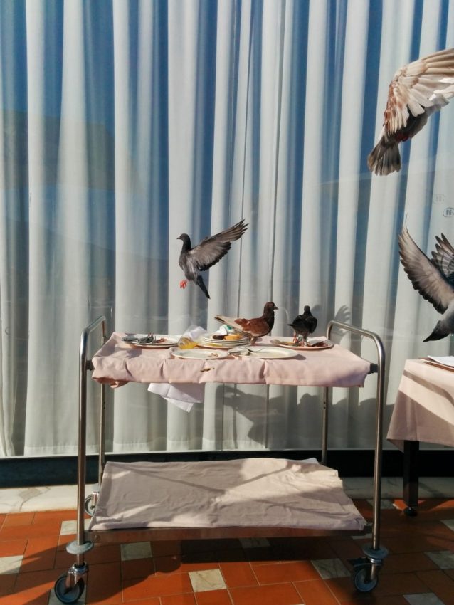 Sorrento, Italy, 2014