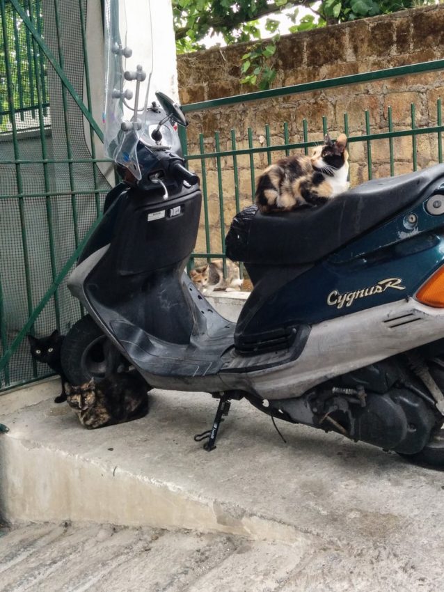 Sorrento, Italy, 2014