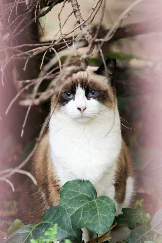 Barcelona, Spain, 2016