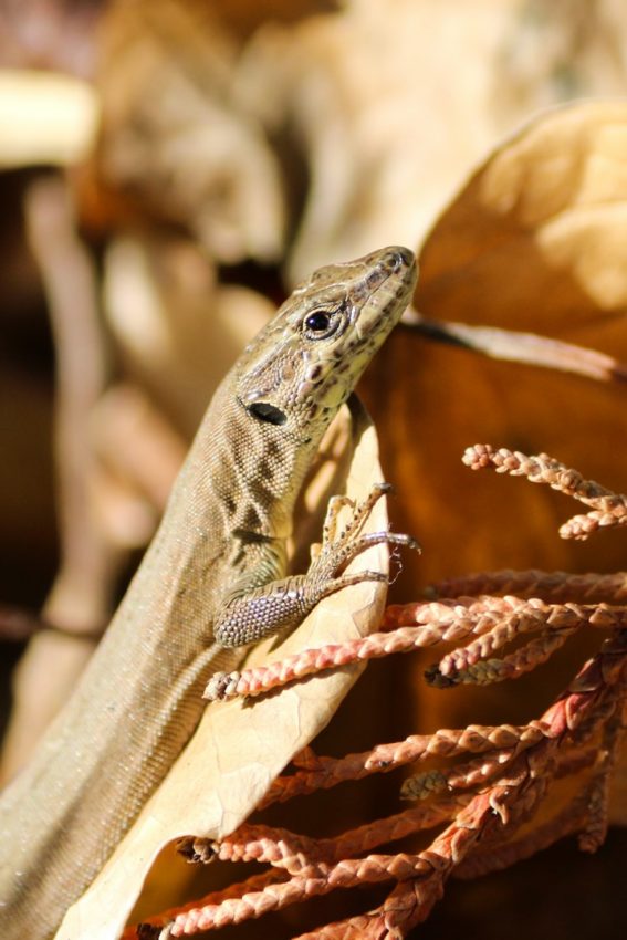 Barcelona, Spain, 2016