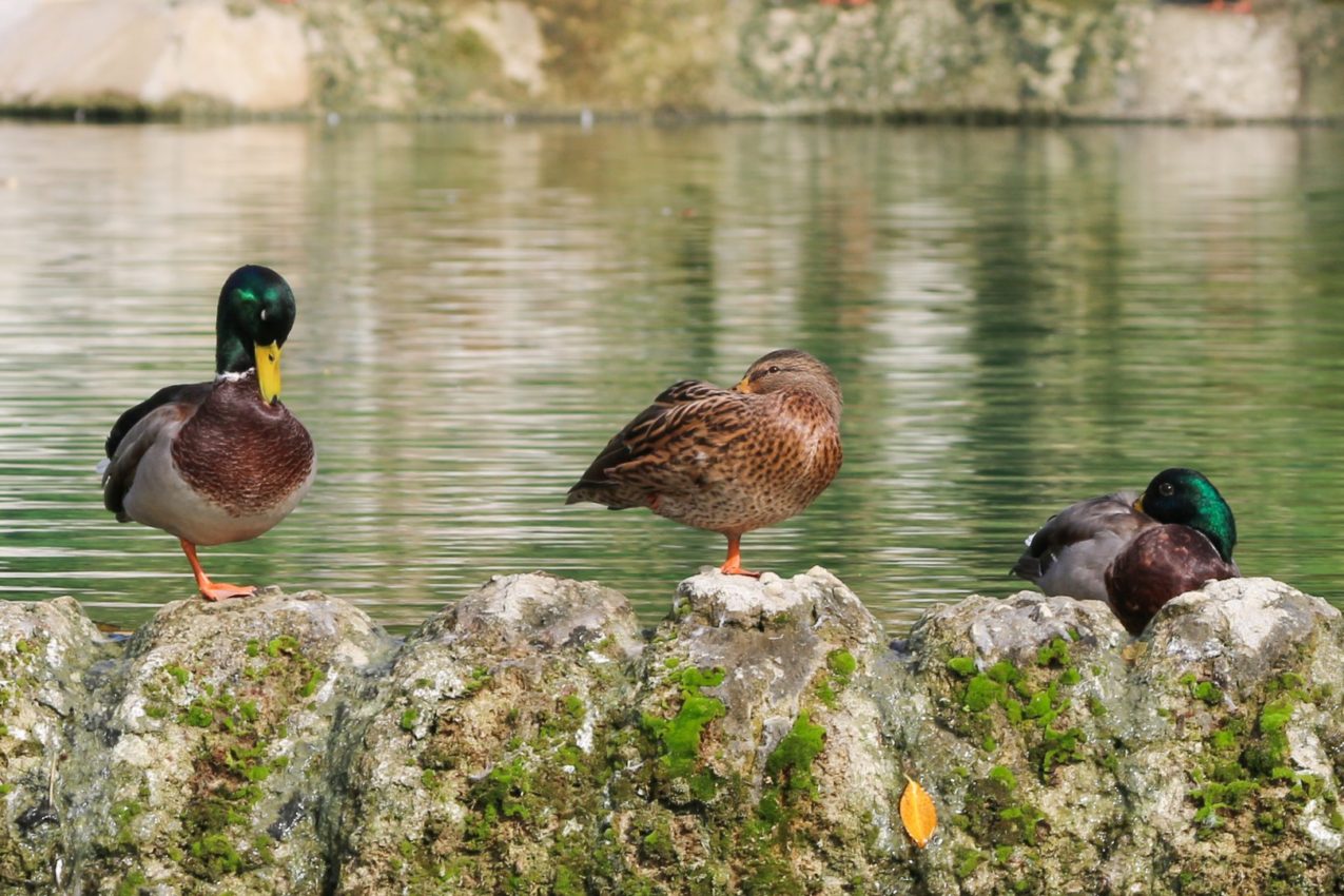 Barcelona, Spain, 2016