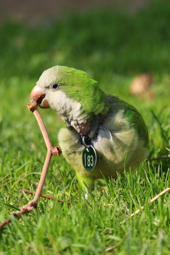 Barcelona, Spain, 2016