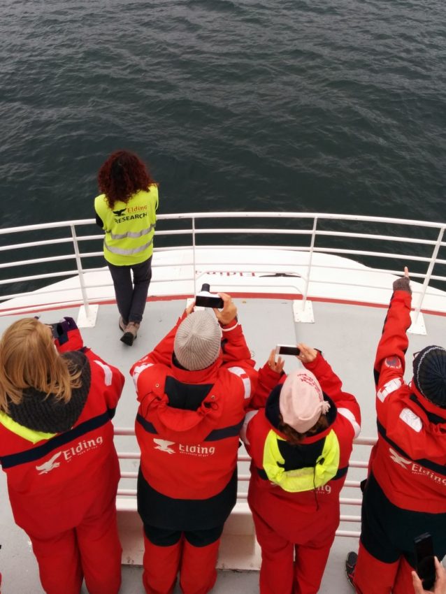 Reykjavik, Iceland, 2014