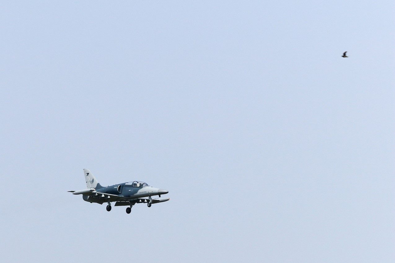 L 159 ALCA, Bucharest International Air Show – BIAS, 2016