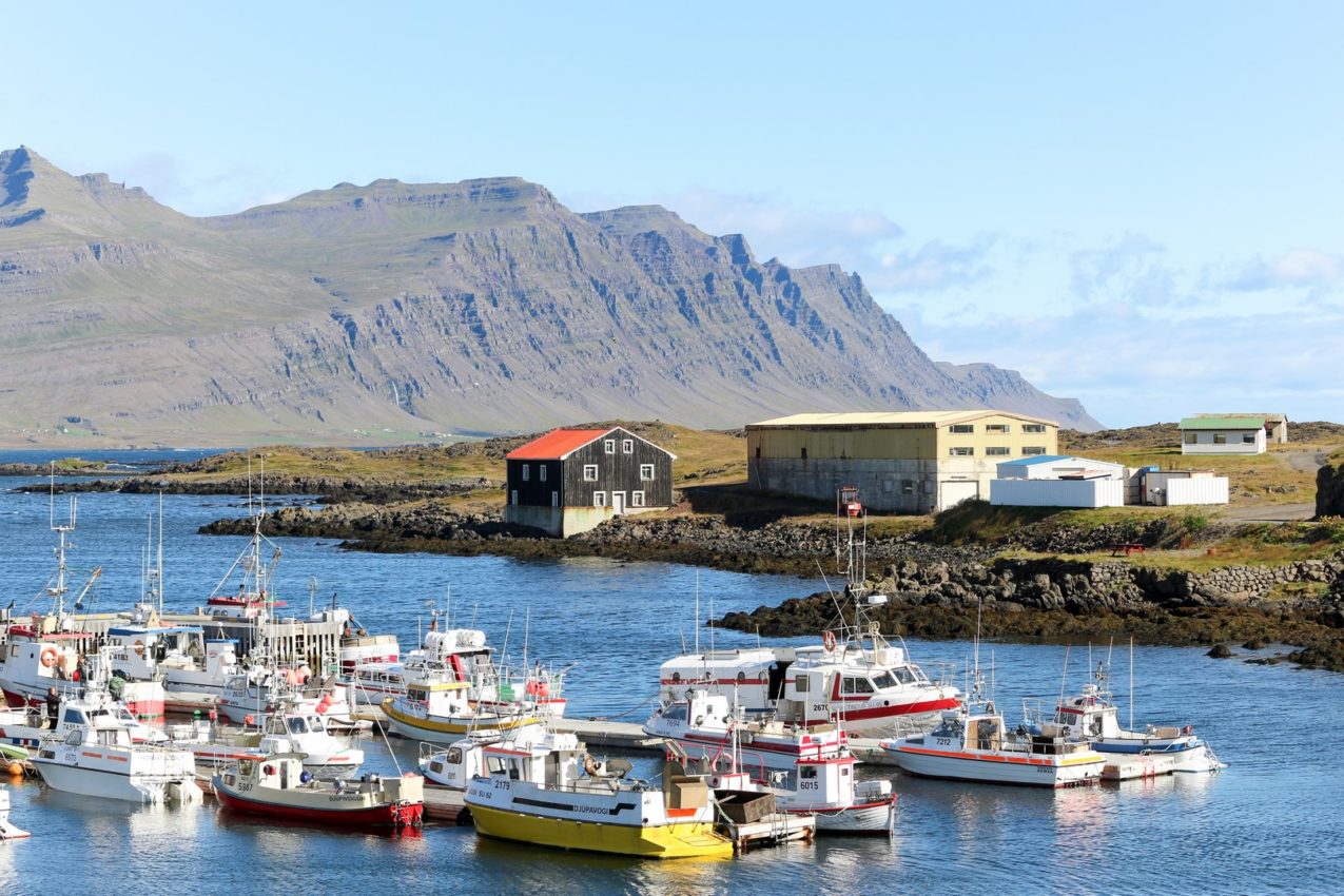 Djupivogur, Iceland, 2016