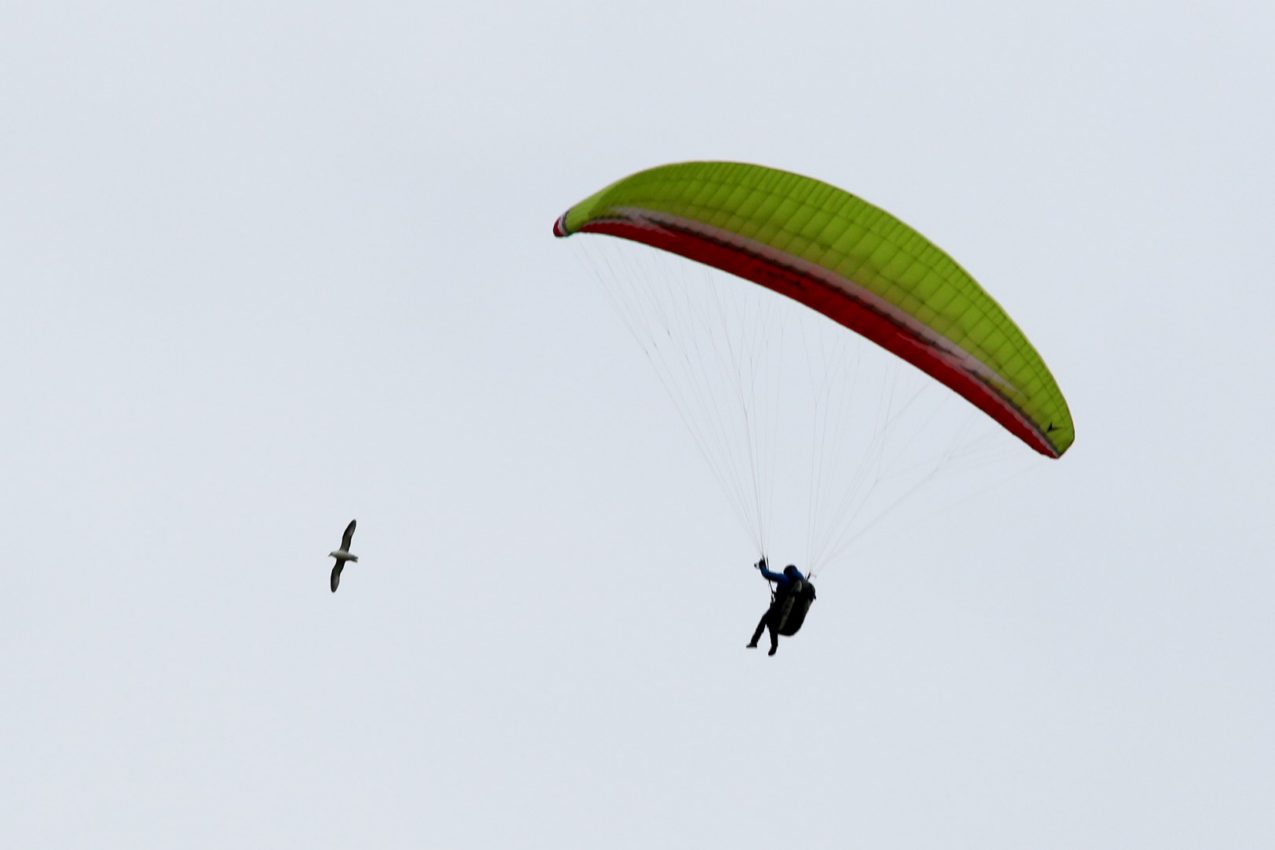 Reynisfjara, Iceland, 2016