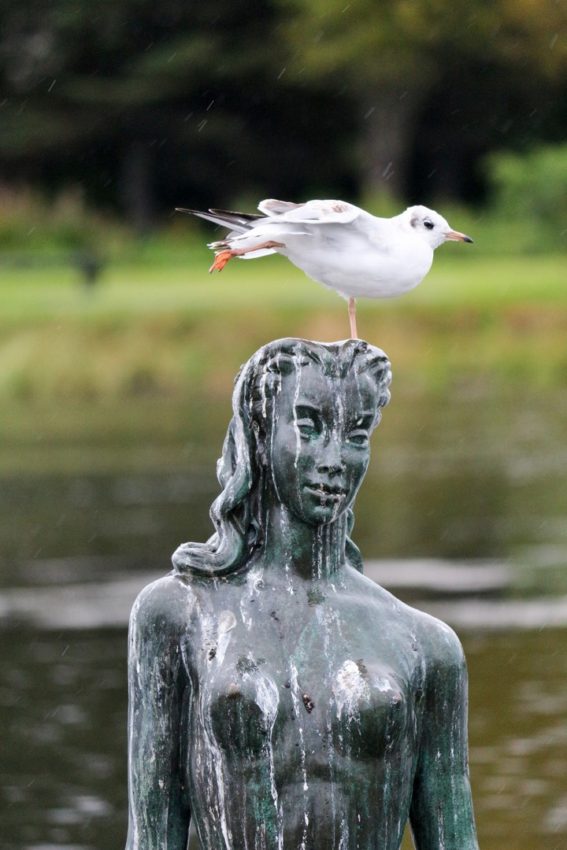 Reykjavik, Iceland, 2016