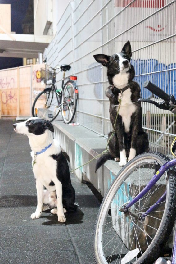 Reykjavik, Iceland, 2016