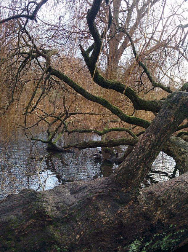 Amsterdam, Netherlands, 2014