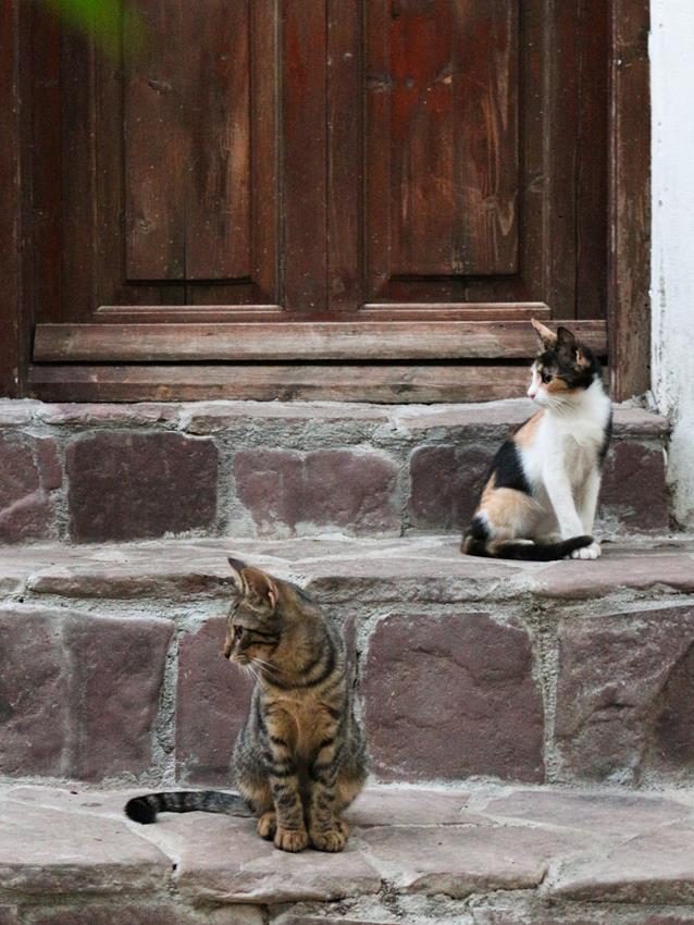 Chora, Samothraki, Greece, 2017