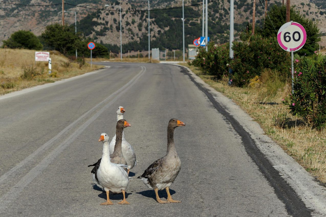 Samothraki, Greece, 2017