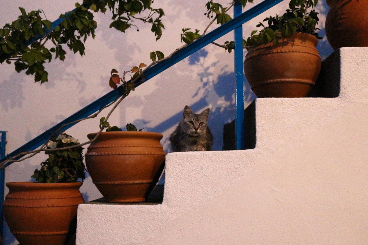 Chora, Samothraki, Greece, 2017