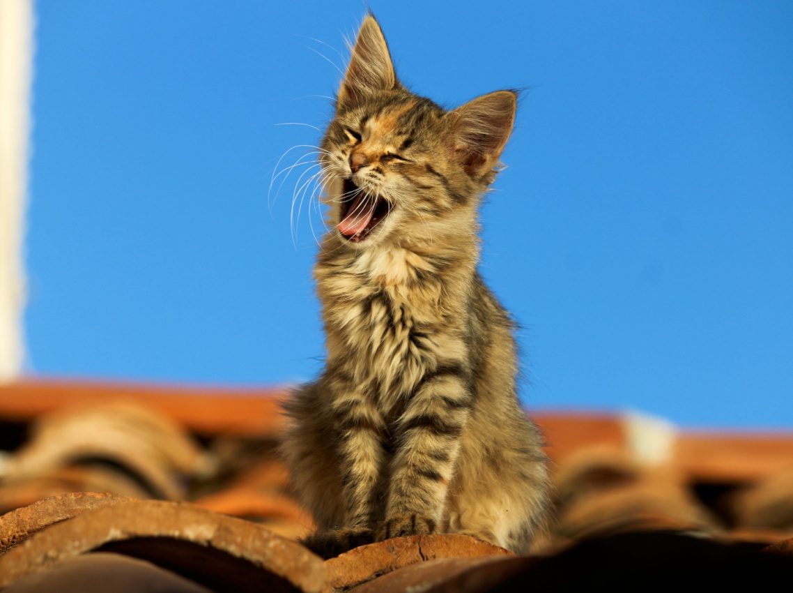 Delphi, Greece, 2017