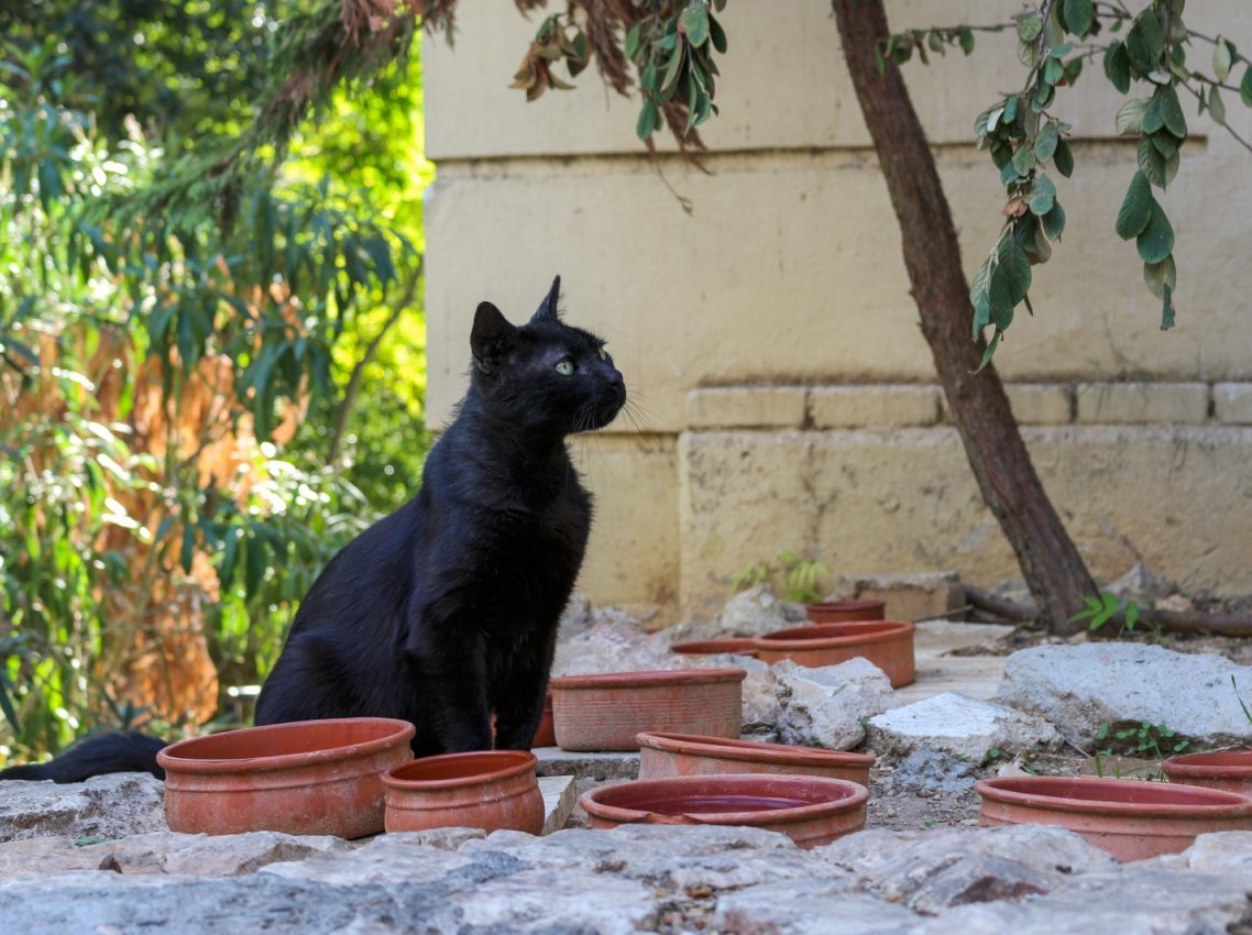 Athens, Greece, 2017