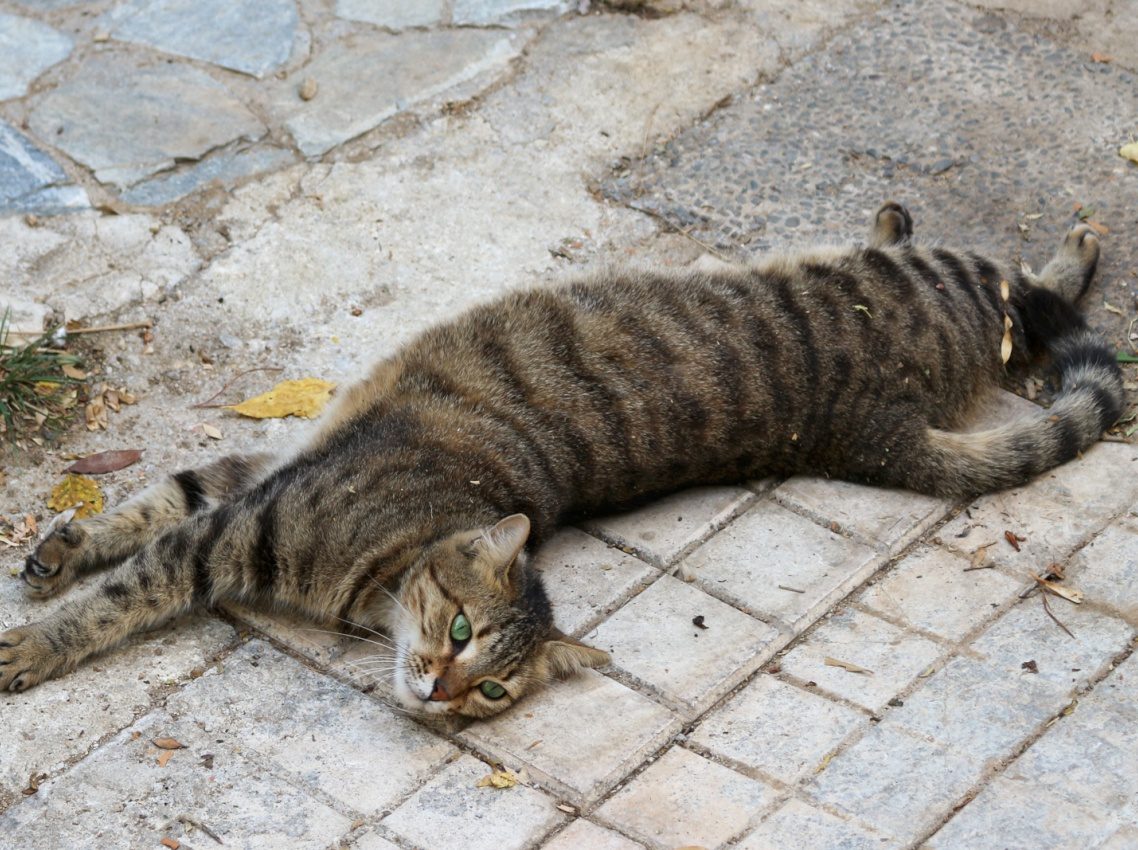 Athens, Greece, 2017