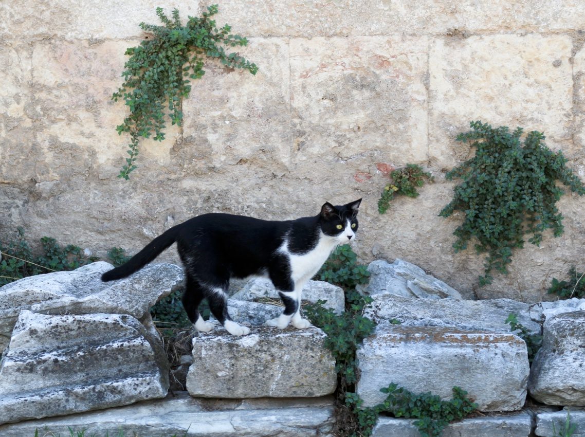 Athens, Greece, 2017
