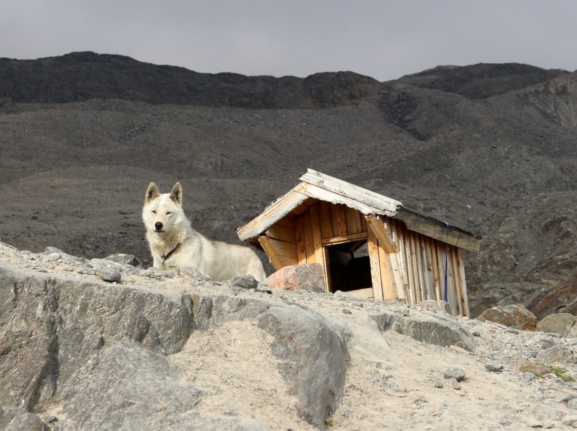 Adolfbukta, Svalbard, Norway, 2017