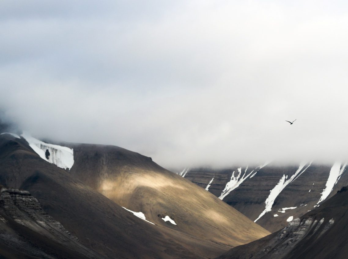 Adolfbukta, Svalbard, Norway, 2017