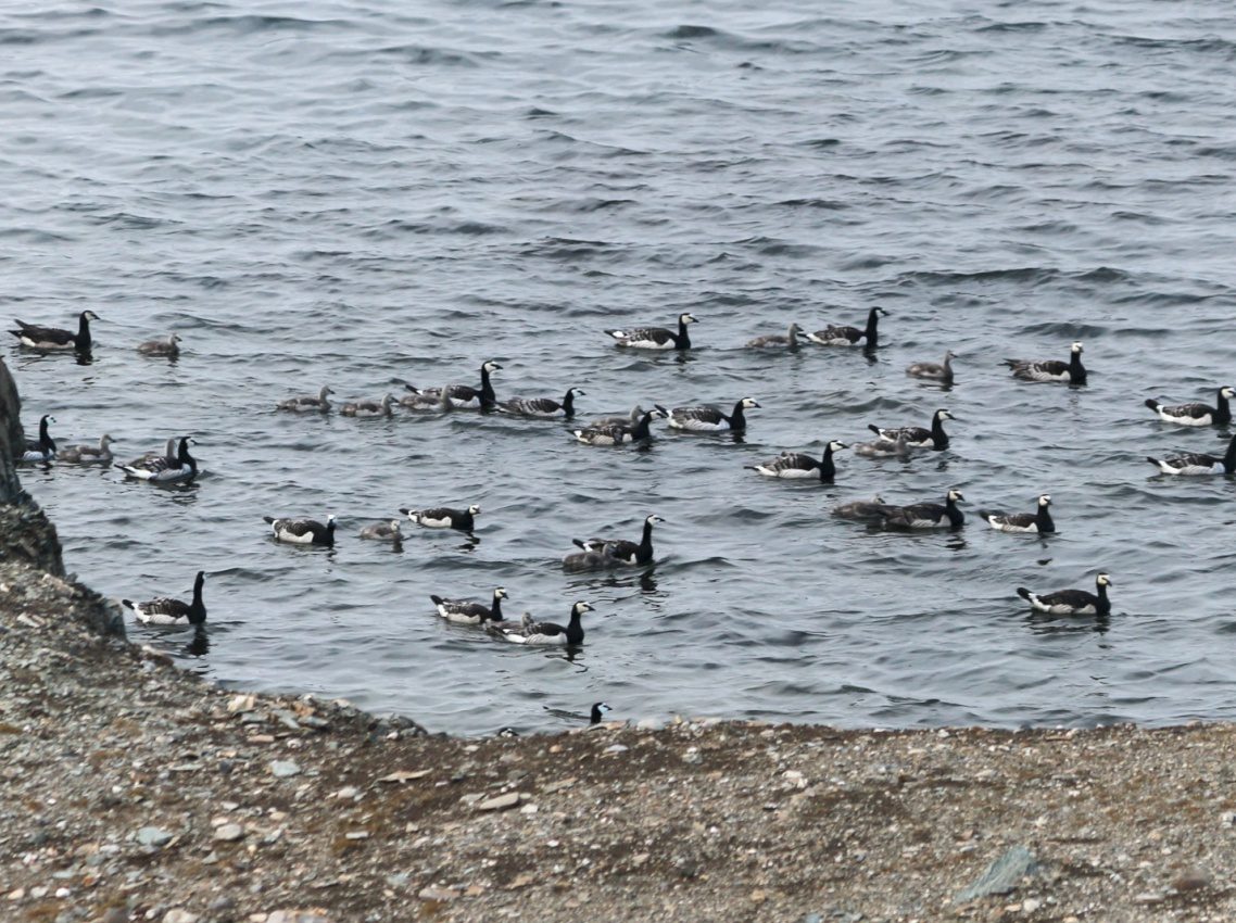 Isfjord Radio, Svalbard, Norway, 2017