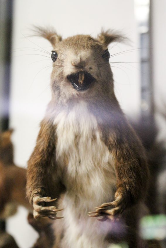 Bologna, Italy, 2018