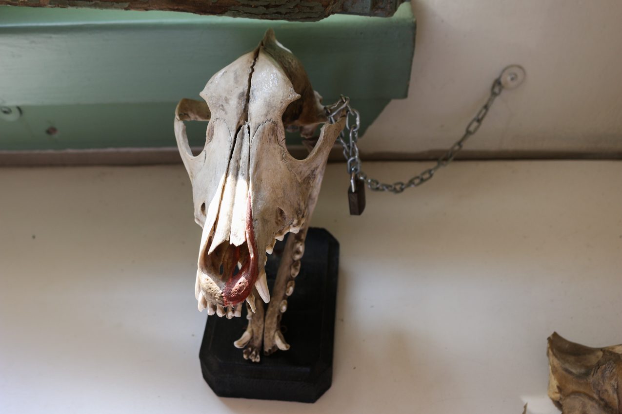 Bologna, Italy, 2018