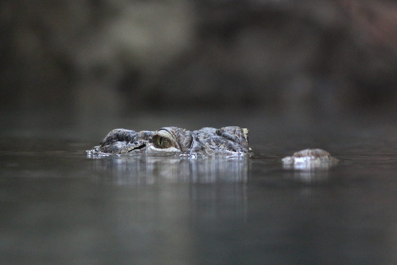 Dublin, Ireland, 2018