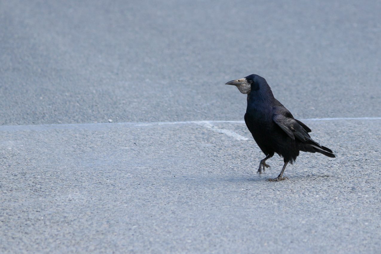 Doolin, Ireland, 2018
