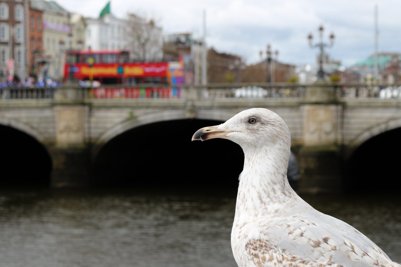 Dublin, Ireland, 2018